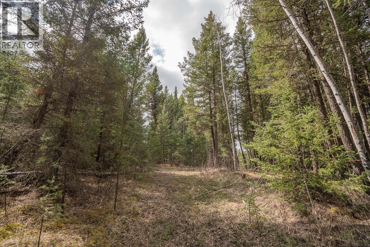 Lot 5 PARK PLACE, Lac La Hache
