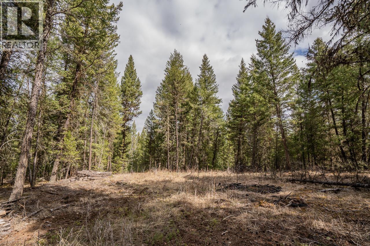 Lot 5 PARK PLACE, Lac La Hache