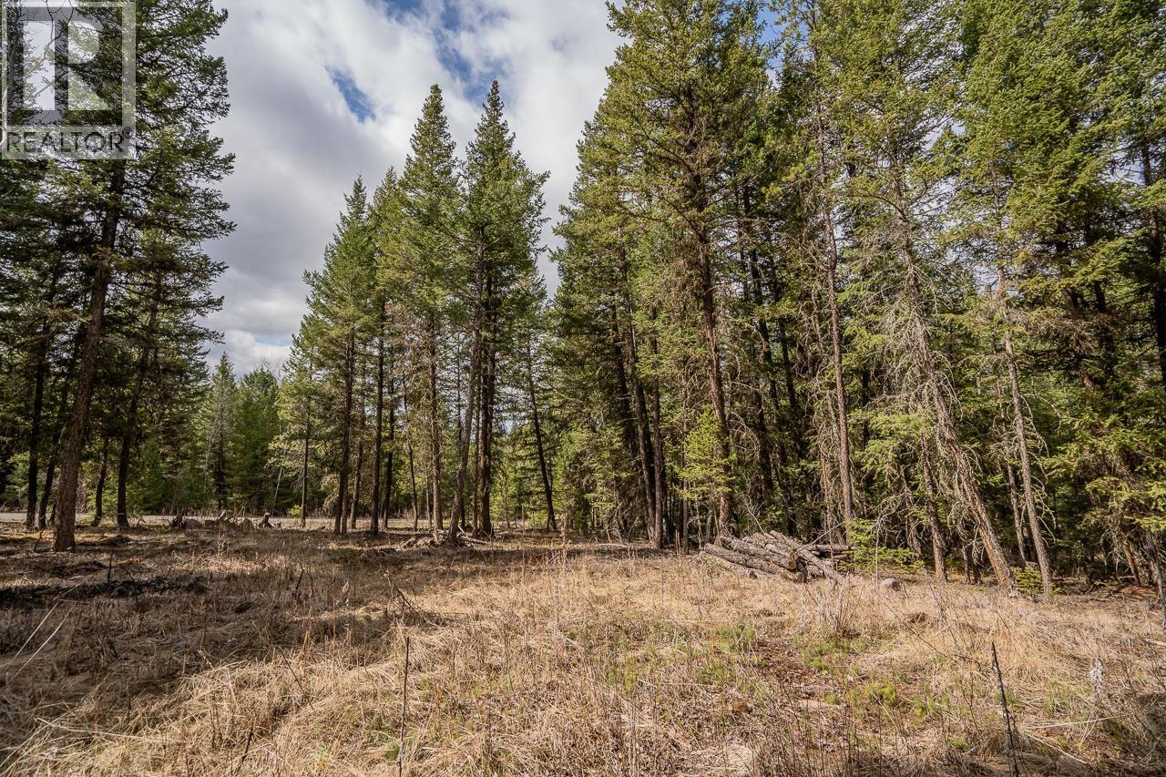 Lot 5 PARK PLACE, Lac La Hache