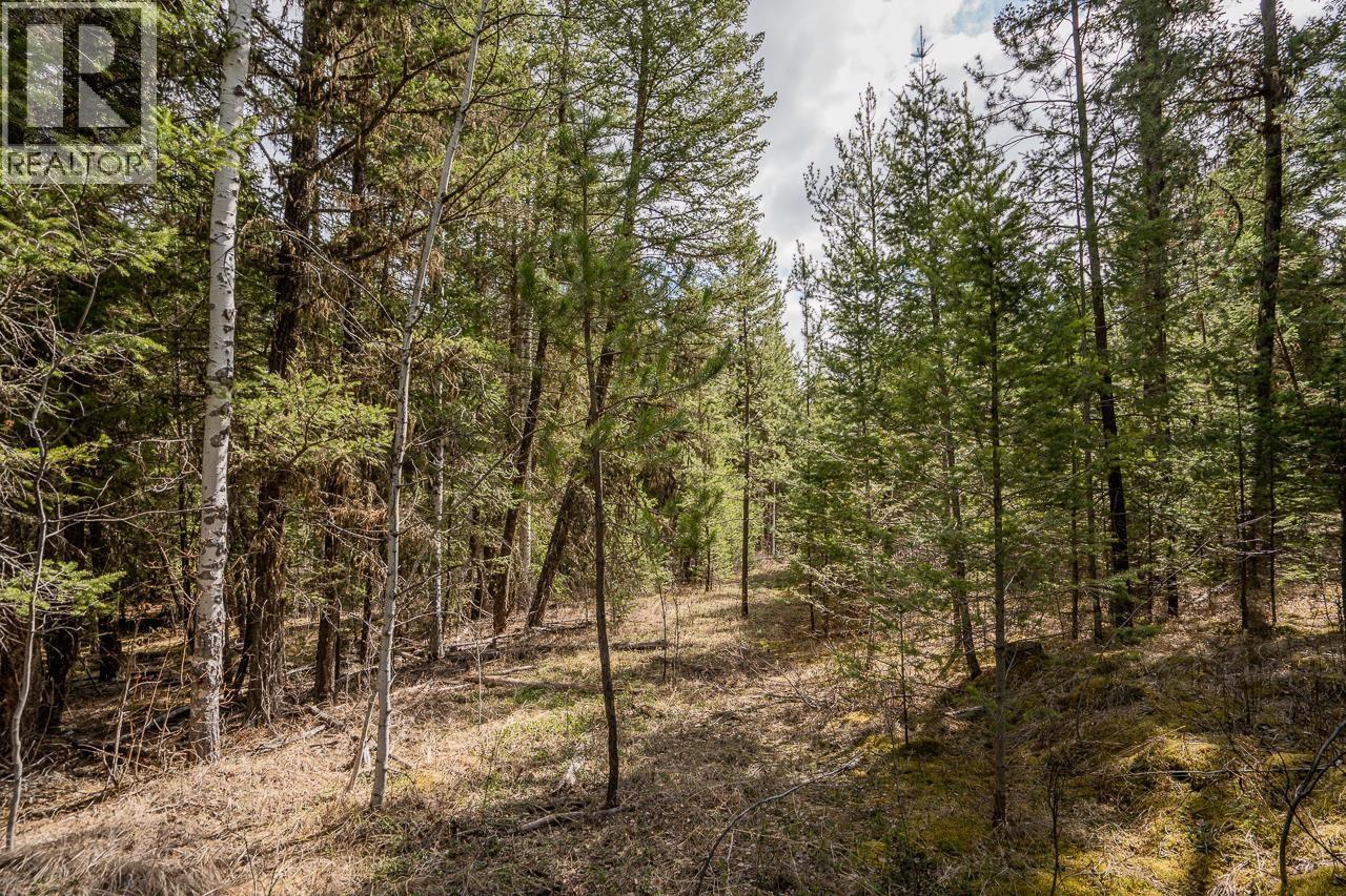 Lot 5 PARK PLACE, Lac La Hache