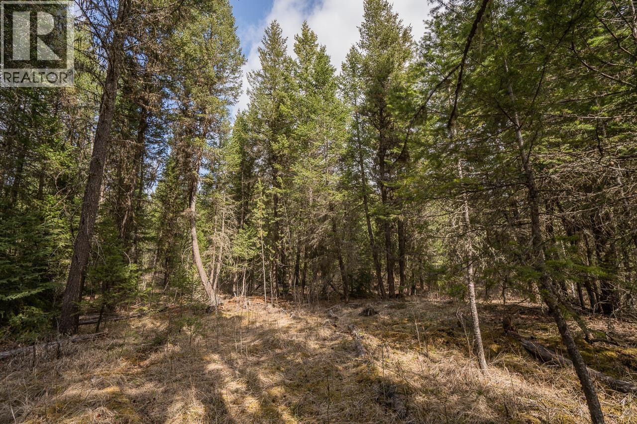 Lot 5 PARK PLACE, Lac La Hache