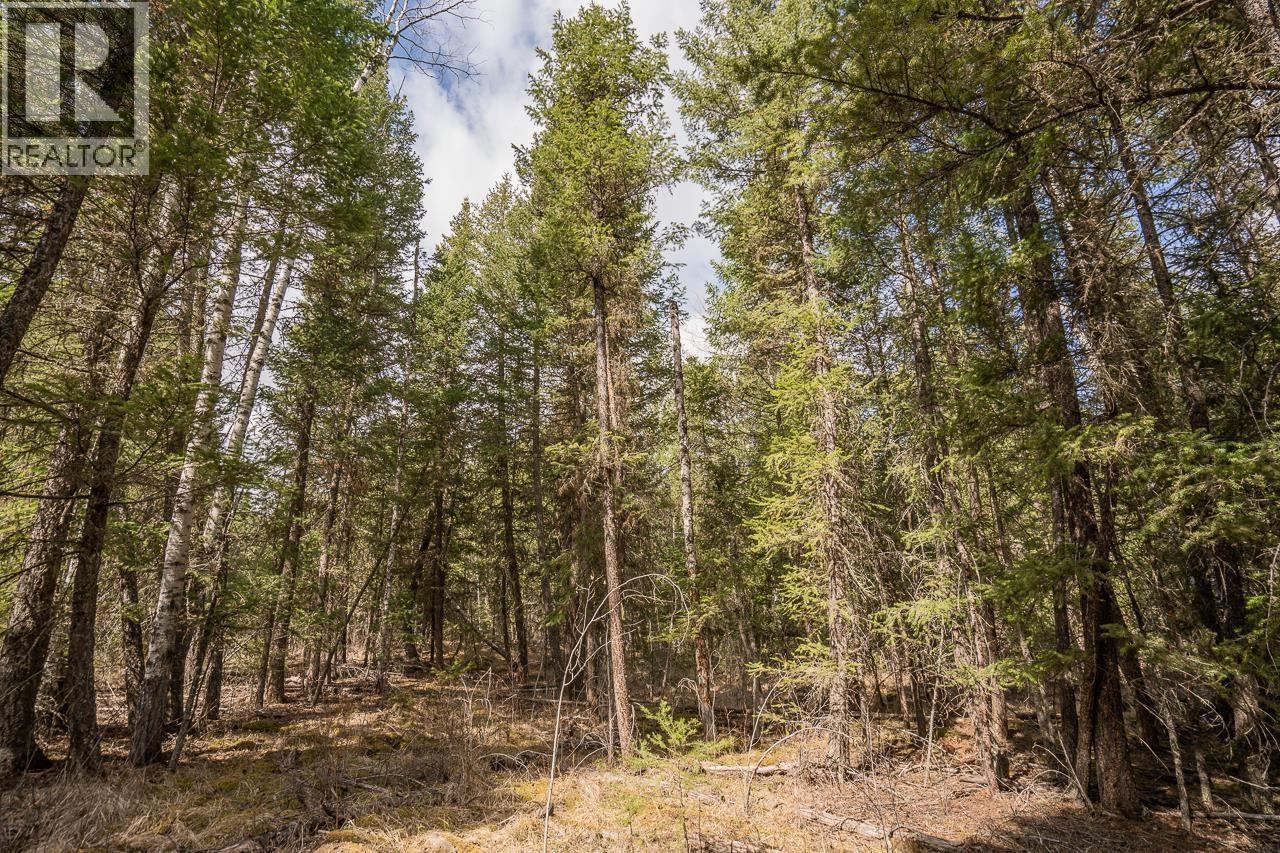 Lot 5 PARK PLACE, Lac La Hache
