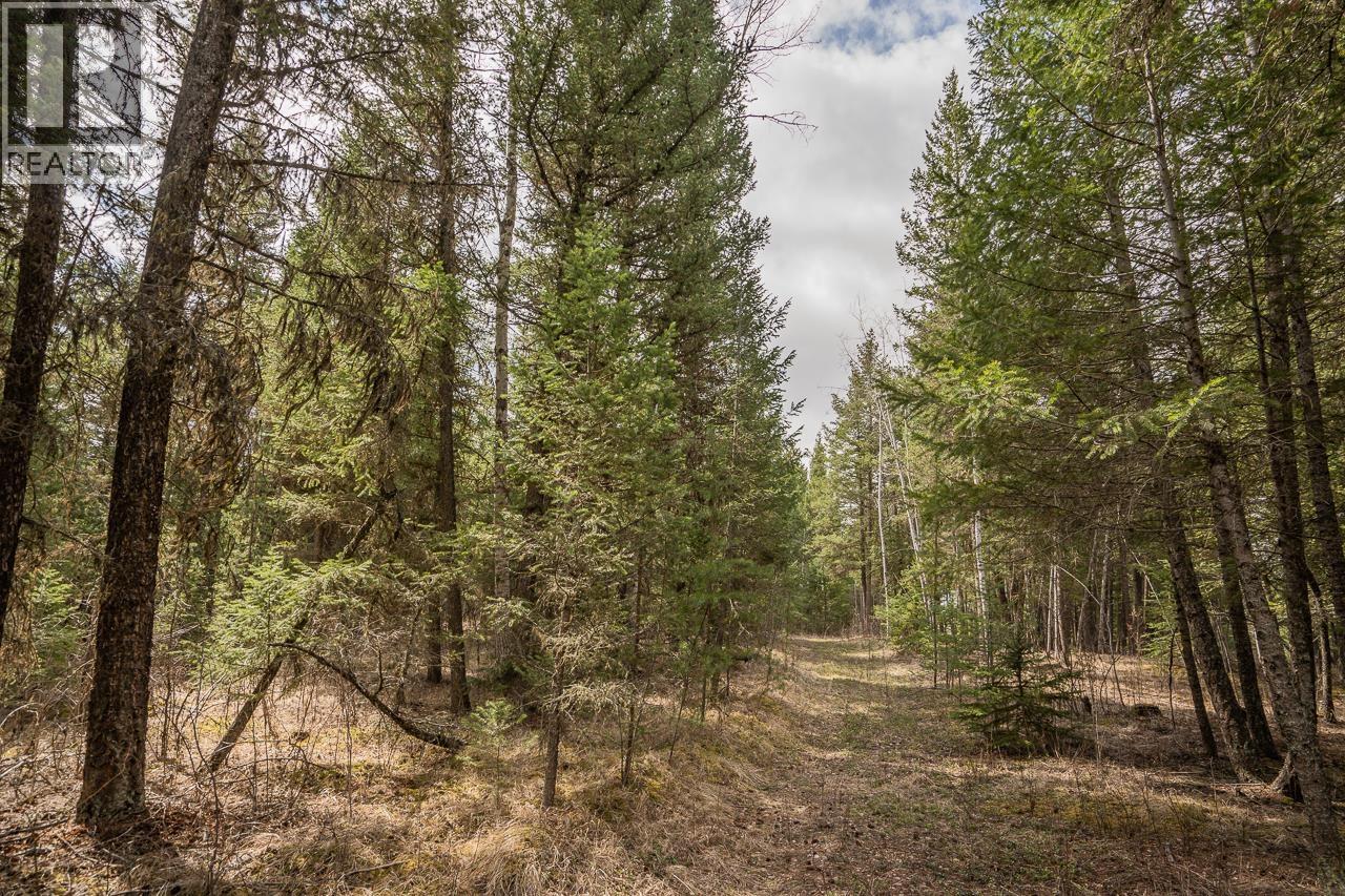 Lot 5 PARK PLACE, Lac La Hache