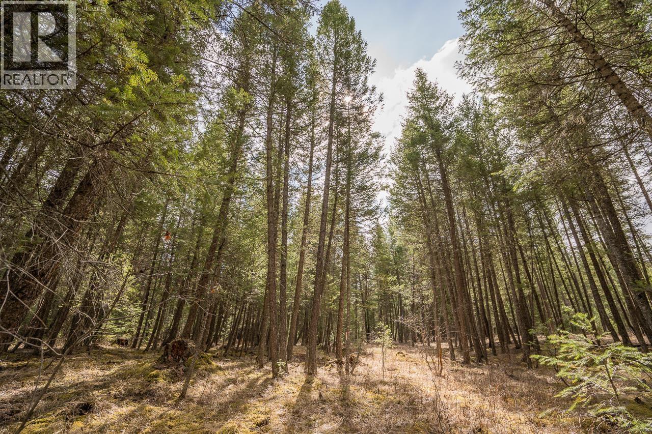 Lot 5 PARK PLACE, Lac La Hache