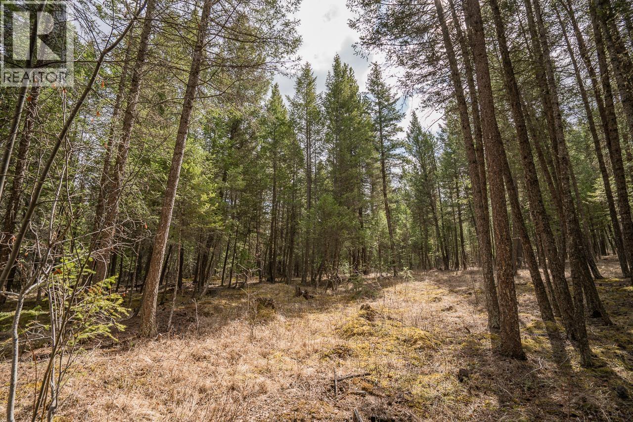 Lot 5 PARK PLACE, Lac La Hache