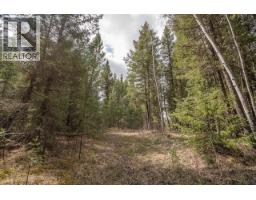Lot 5 Park Place, Lac La Hache, BC V0K1T1 Photo 7