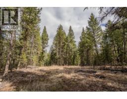 Lot 5 Park Place, Lac La Hache, BC V0K1T1 Photo 9