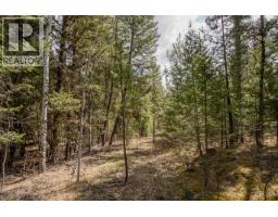 Lot 5 Park Place, Lac La Hache, BC V0K1T1 Photo 10