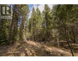 Lot 5 Park Place, Lac La Hache, BC V0K1T1 Photo 8
