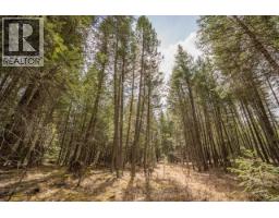 Lot 5 Park Place, Lac La Hache, BC V0K1T1 Photo 12