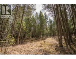 Lot 5 Park Place, Lac La Hache, BC V0K1T1 Photo 6