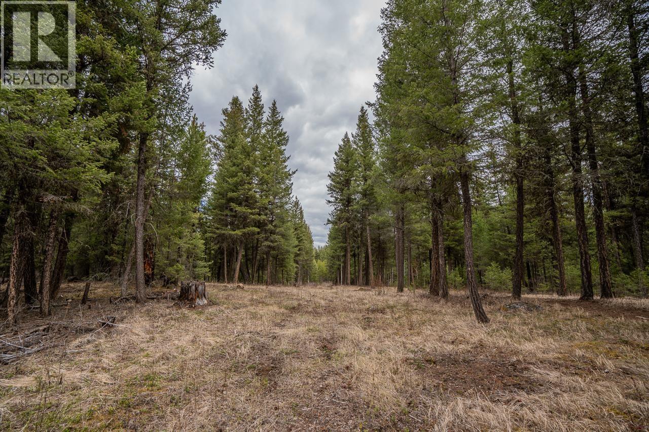 Lot 6 PARK PLACE, Lac La Hache