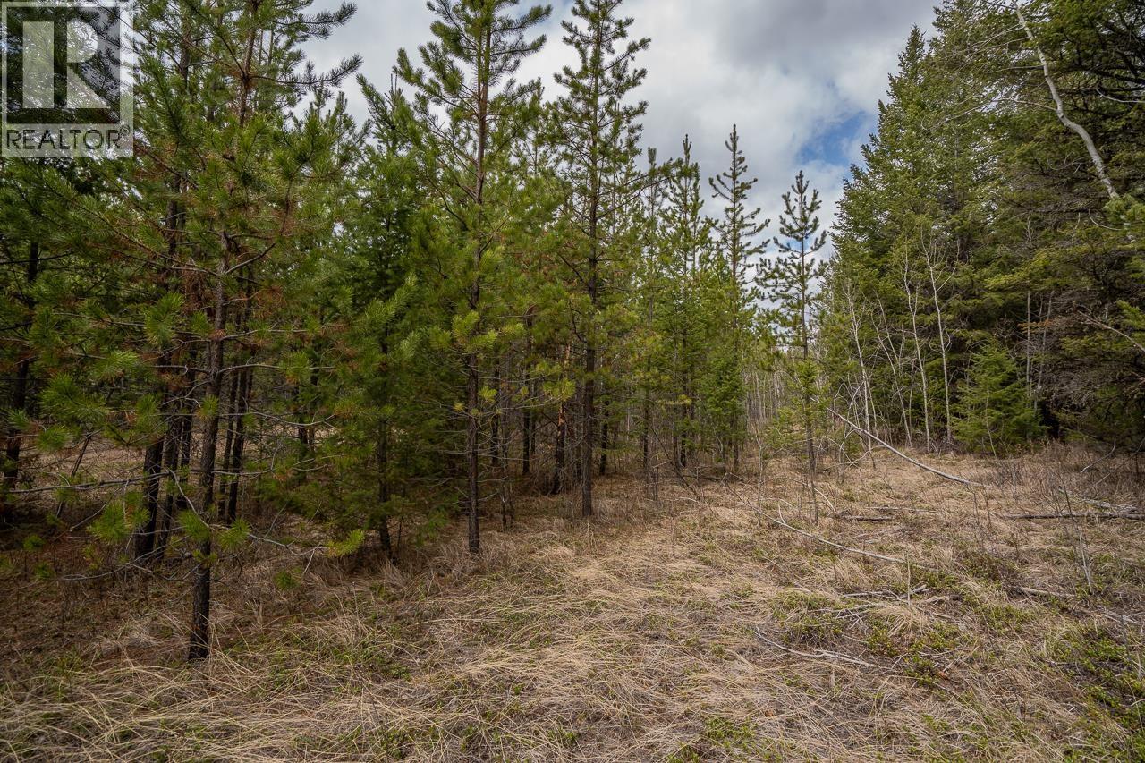 Lot 6 PARK PLACE, Lac La Hache