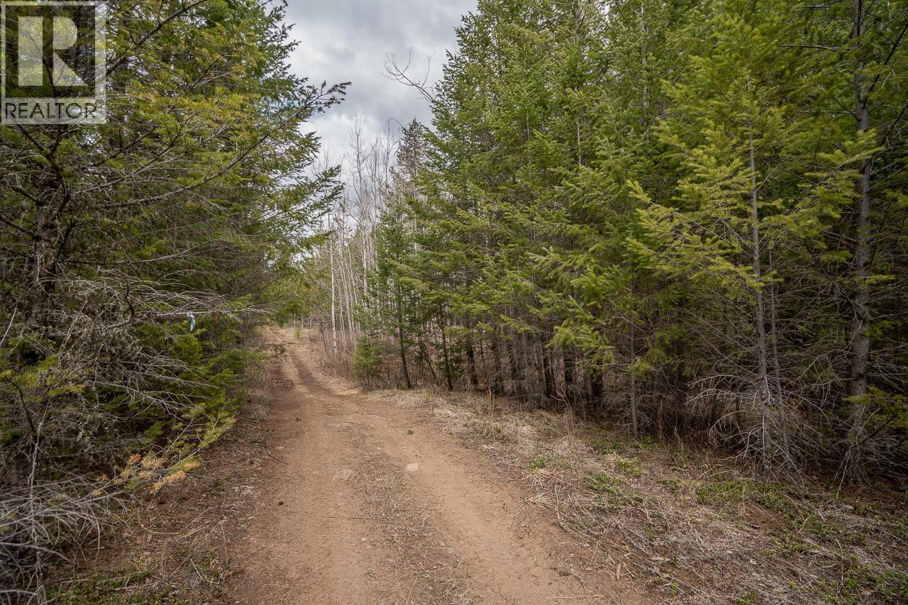 Lot 6 PARK PLACE, Lac La Hache