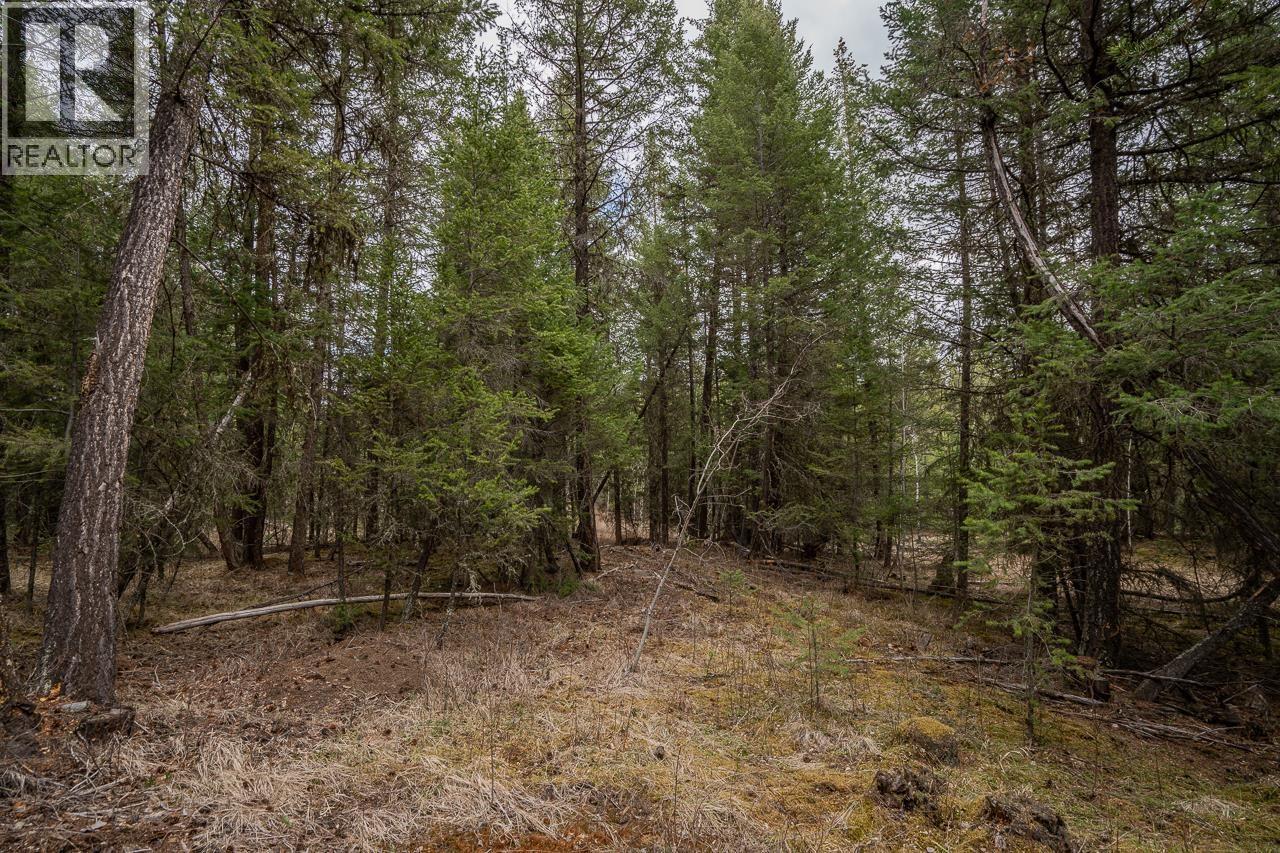 Lot 6 PARK PLACE, Lac La Hache