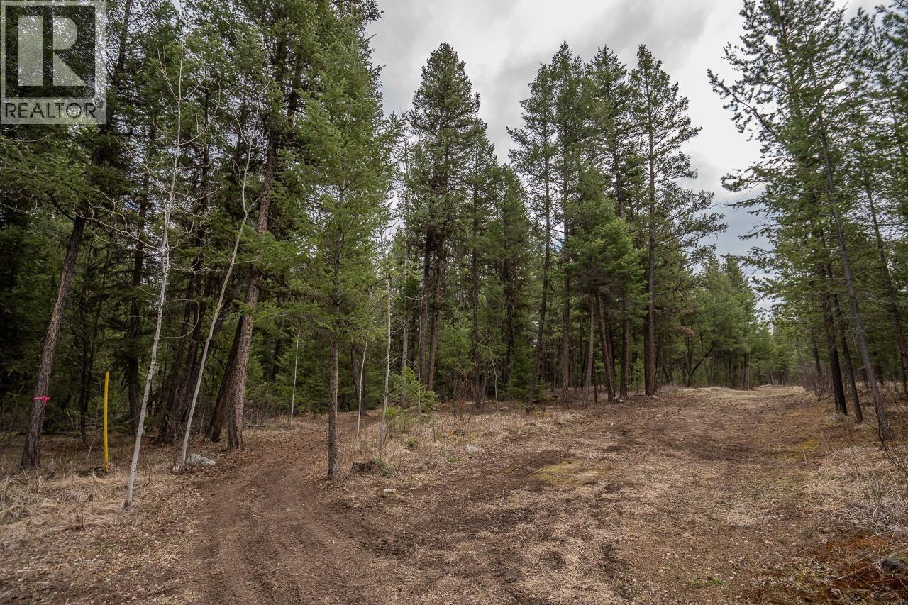 Lot 6 PARK PLACE, Lac La Hache