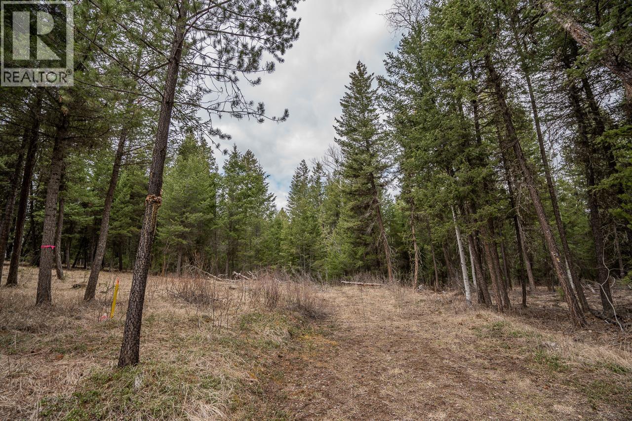 Lot 6 PARK PLACE, Lac La Hache