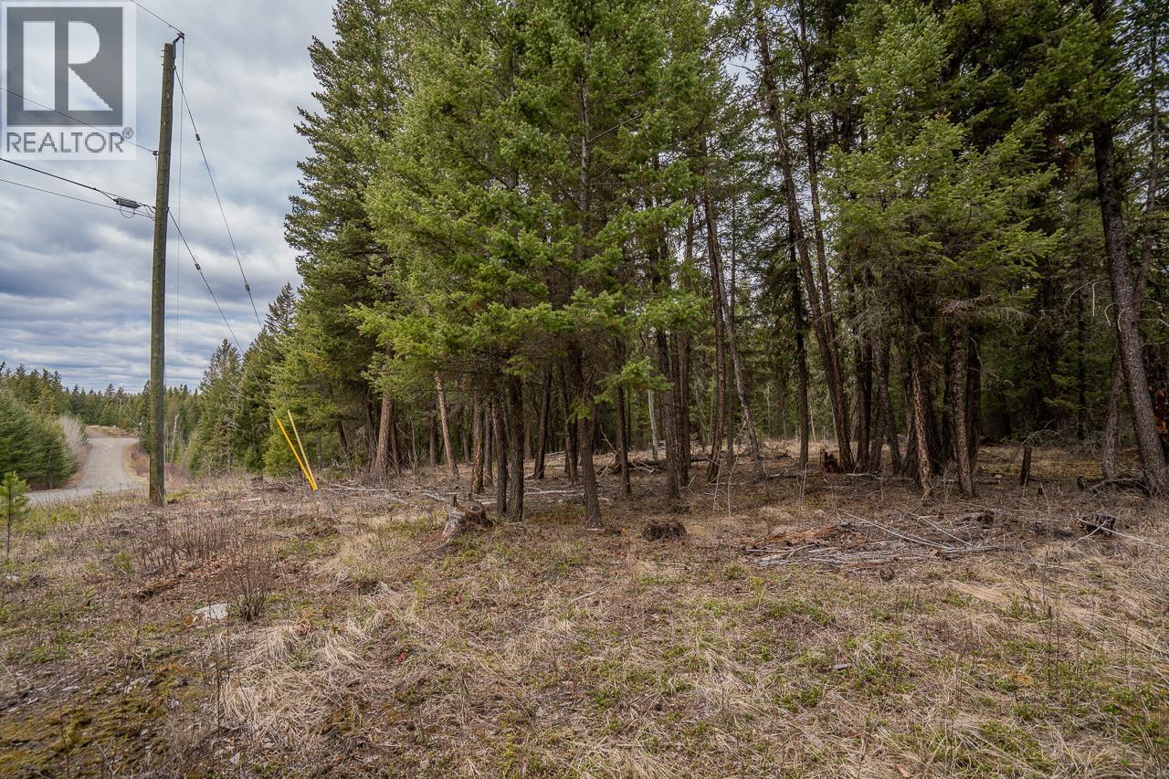 Lot 6 PARK PLACE, Lac La Hache