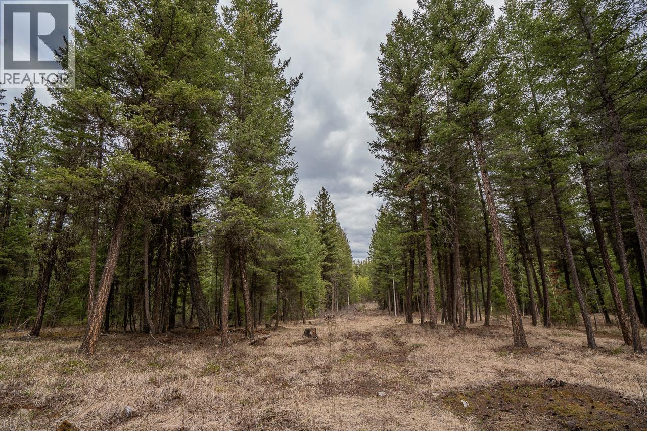 Lot 6 PARK PLACE, Lac La Hache