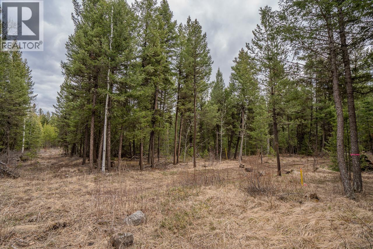 Lot 6 PARK PLACE, Lac La Hache