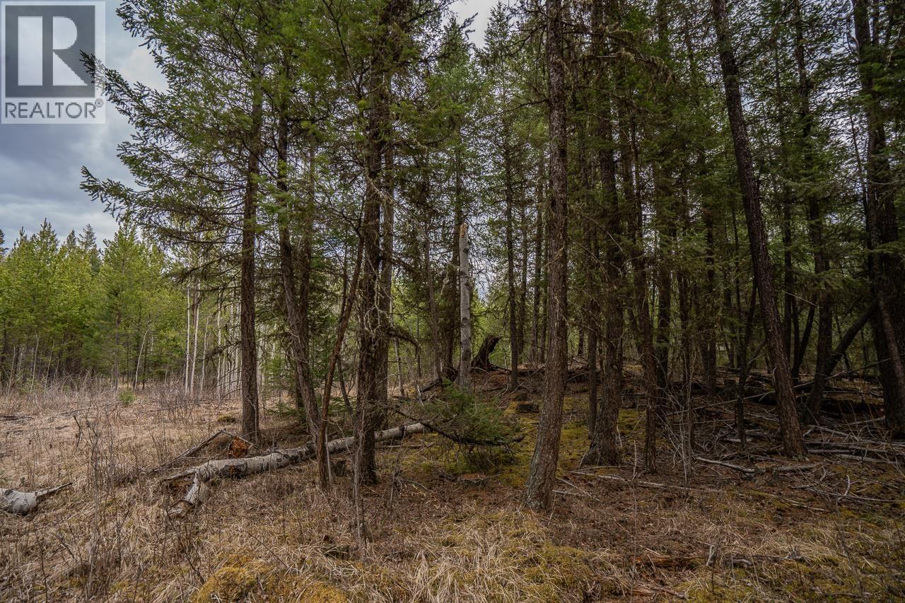 Lot 6 PARK PLACE, Lac La Hache