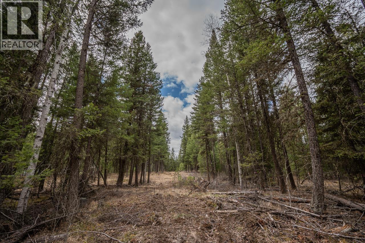 Lot 6 PARK PLACE, Lac La Hache