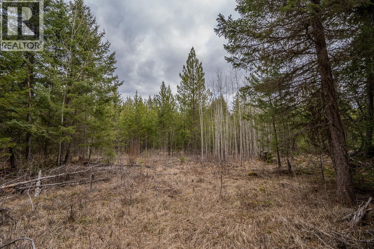 Lot 6 PARK PLACE, Lac La Hache