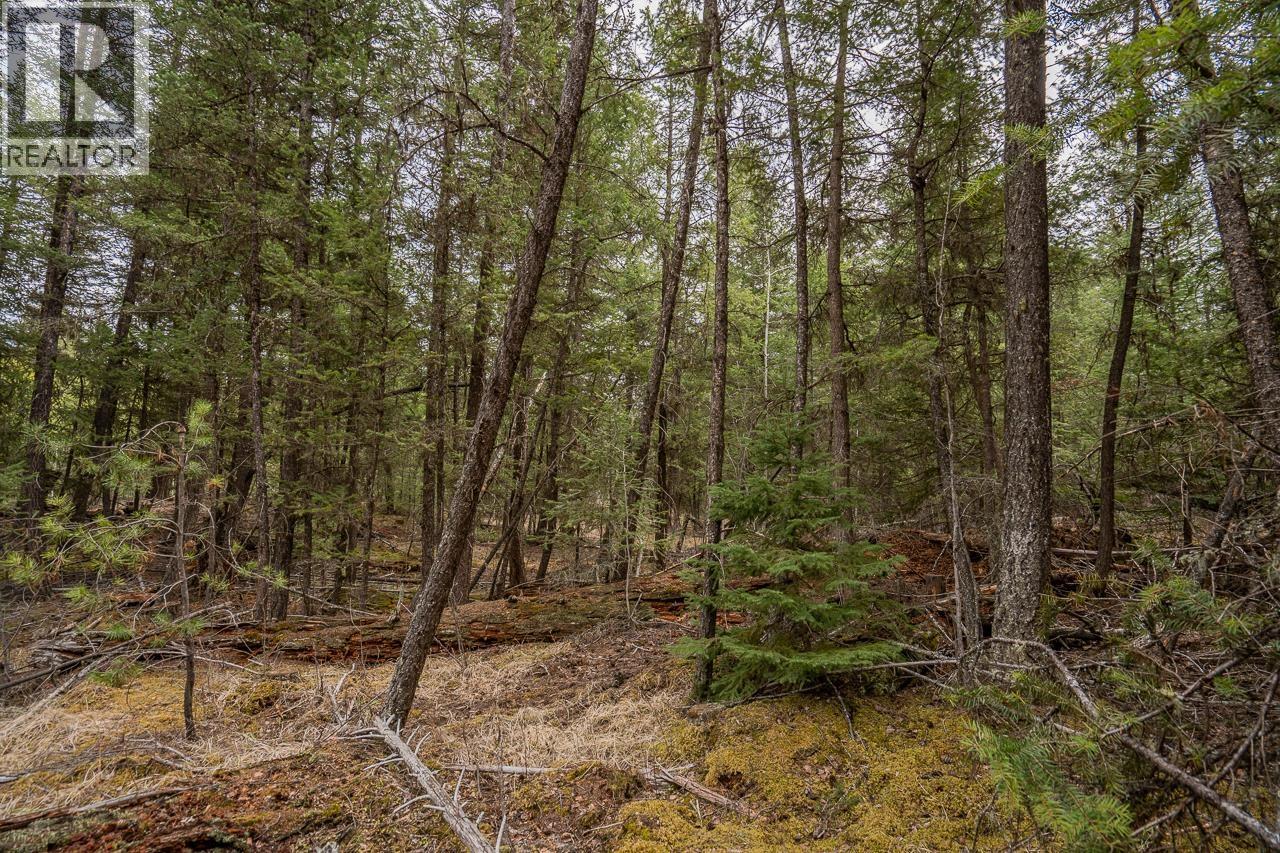 Lot 6 PARK PLACE, Lac La Hache