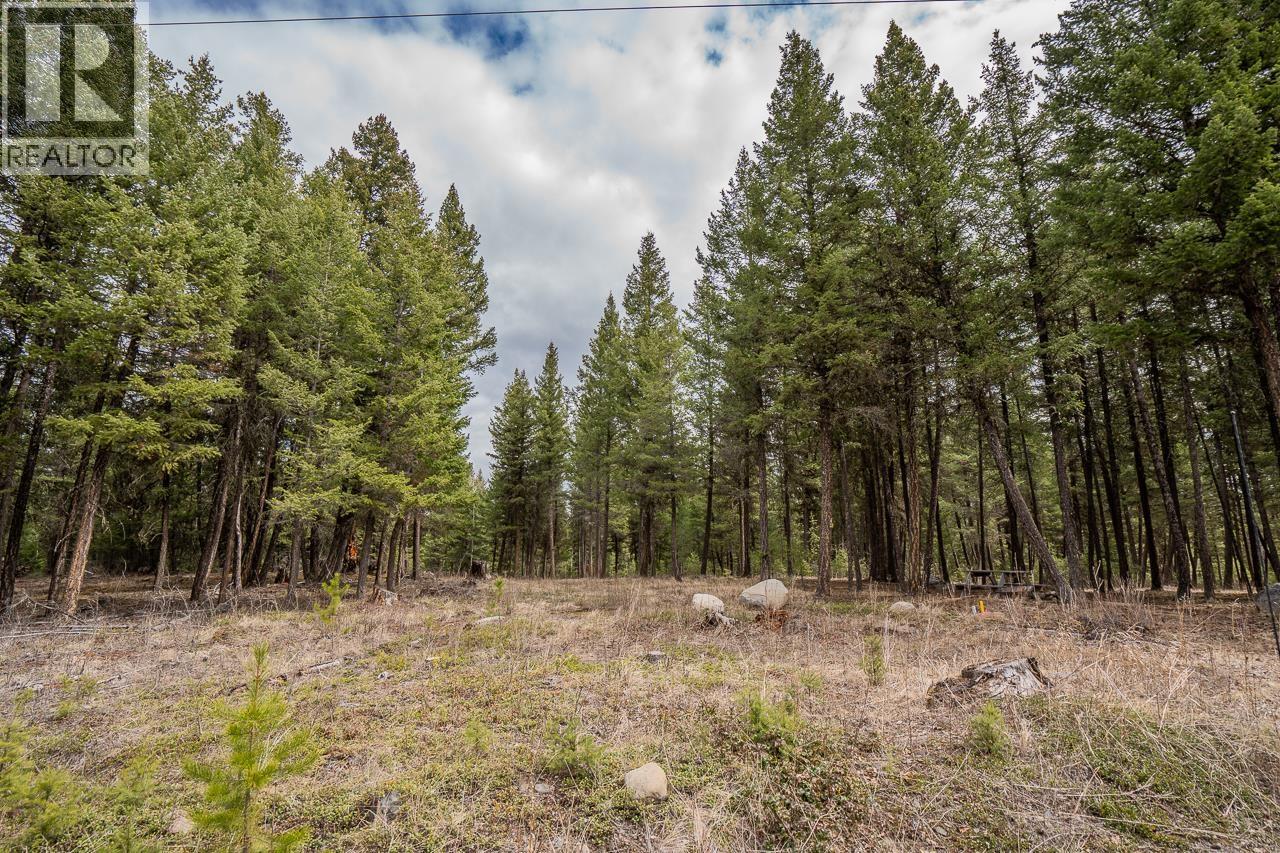 Lot 6 PARK PLACE, Lac La Hache