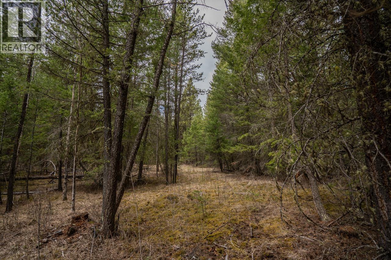 Lot 6 PARK PLACE, Lac La Hache