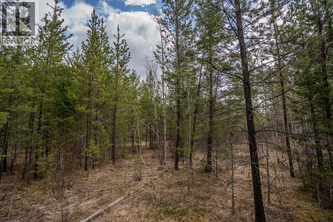 Lot 6 PARK PLACE, Lac La Hache