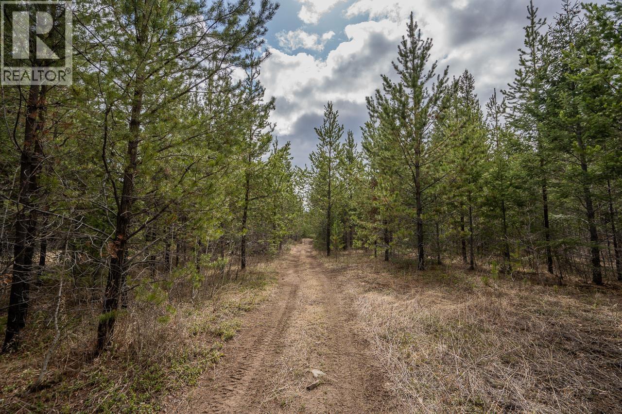 Lot 6 PARK PLACE, Lac La Hache