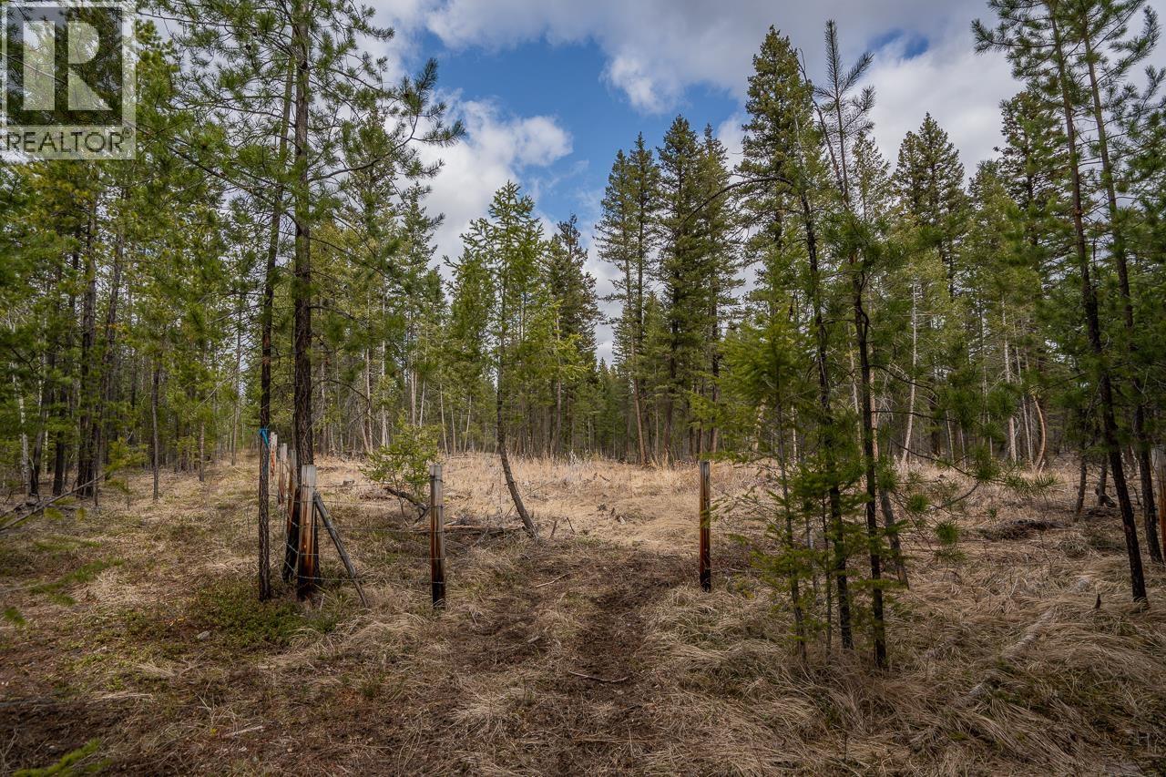 Lot 6 PARK PLACE, Lac La Hache