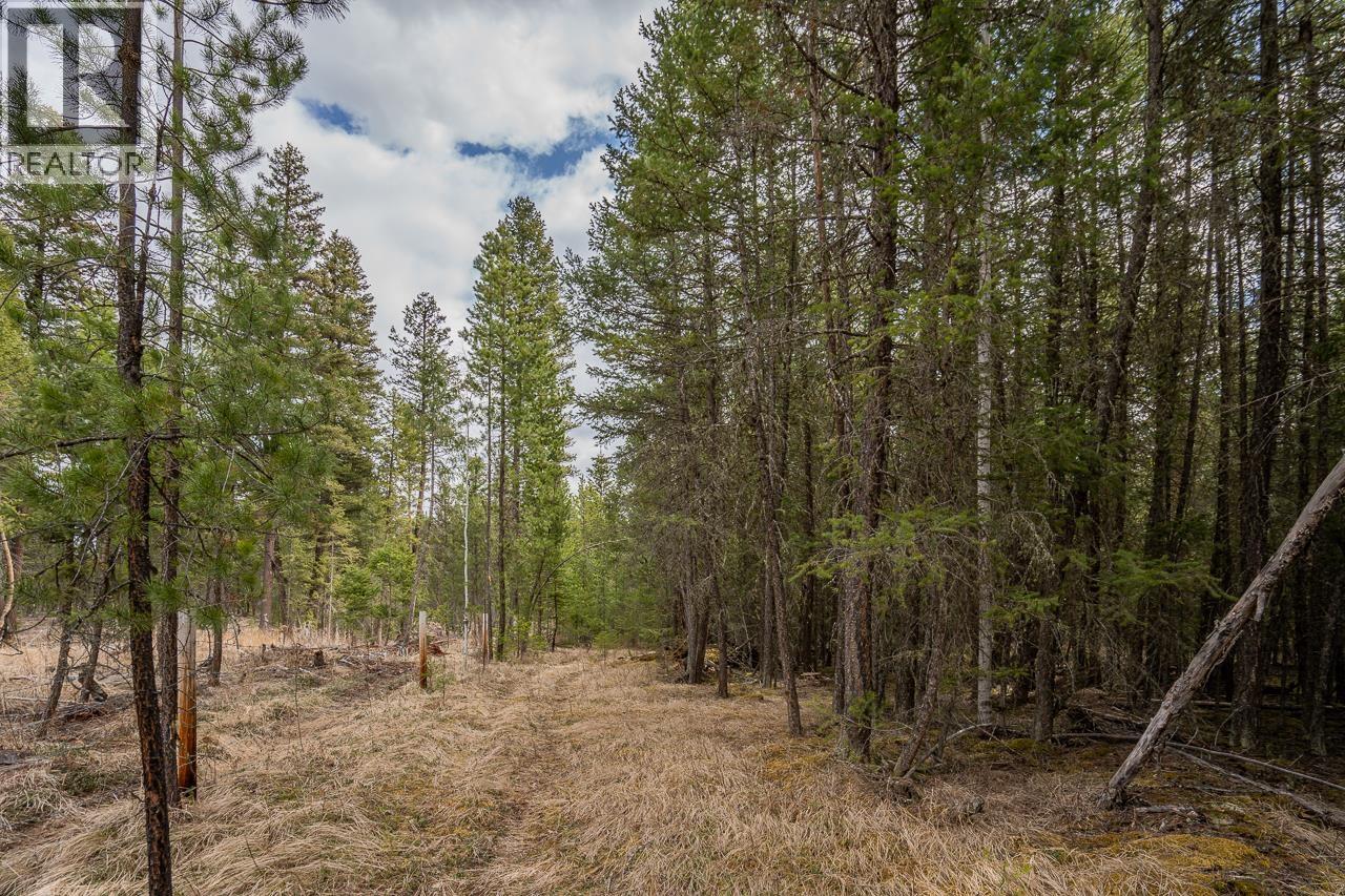 Lot 6 PARK PLACE, Lac La Hache