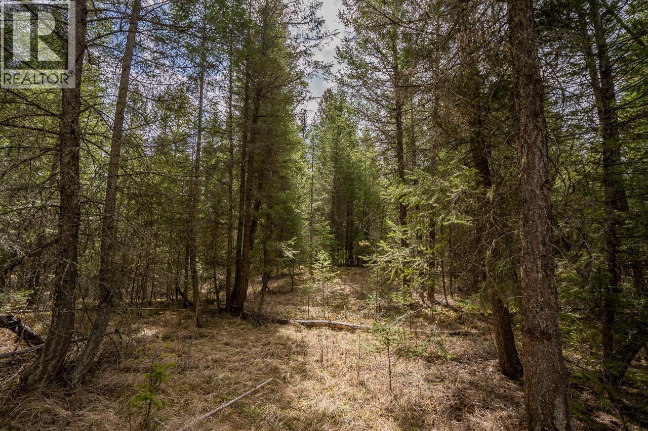 Lot 6 PARK PLACE, Lac La Hache