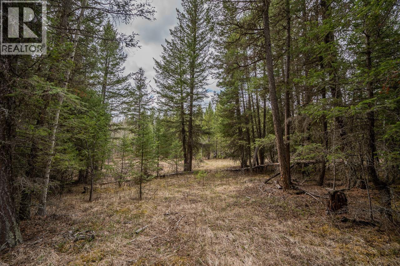 Lot 6 PARK PLACE, Lac La Hache