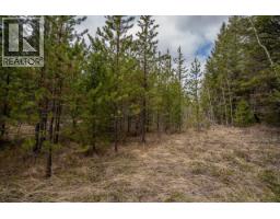 Lot 6 Park Place, Lac La Hache, BC V0K1T1 Photo 6