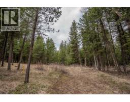 Lot 6 Park Place, Lac La Hache, BC V0K1T1 Photo 13