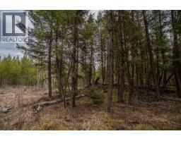 Lot 6 Park Place, Lac La Hache, BC V0K1T1 Photo 8
