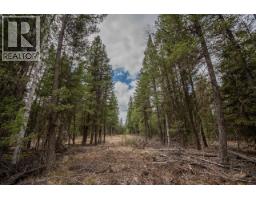 Lot 6 Park Place, Lac La Hache, BC V0K1T1 Photo 16