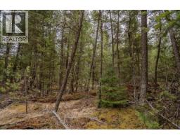 Lot 6 Park Place, Lac La Hache, BC V0K1T1 Photo 21