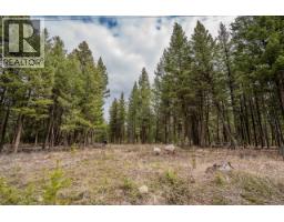 Lot 6 Park Place, Lac La Hache, BC V0K1T1 Photo 20