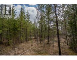 Lot 6 Park Place, Lac La Hache, BC V0K1T1 Photo 14