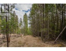 Lot 6 Park Place, Lac La Hache, BC V0K1T1 Photo 15