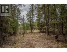 Lot 6 Park Place, Lac La Hache, BC V0K1T1 Photo 10