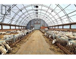 5626 3rd Line, New Tecumseth, ON L0G1W0 Photo 15