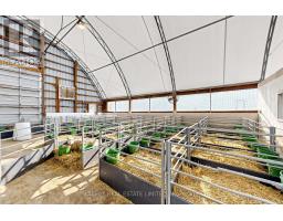 5626 3rd Line, New Tecumseth, ON L0G1W0 Photo 16