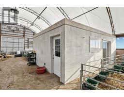 5626 3rd Line, New Tecumseth, ON L0G1W0 Photo 18
