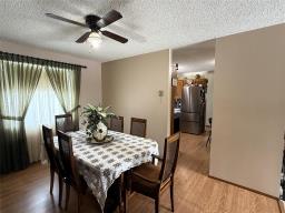 Utility room - 486 Aline Drive, Mccreary, MB R0J1B0 Photo 9