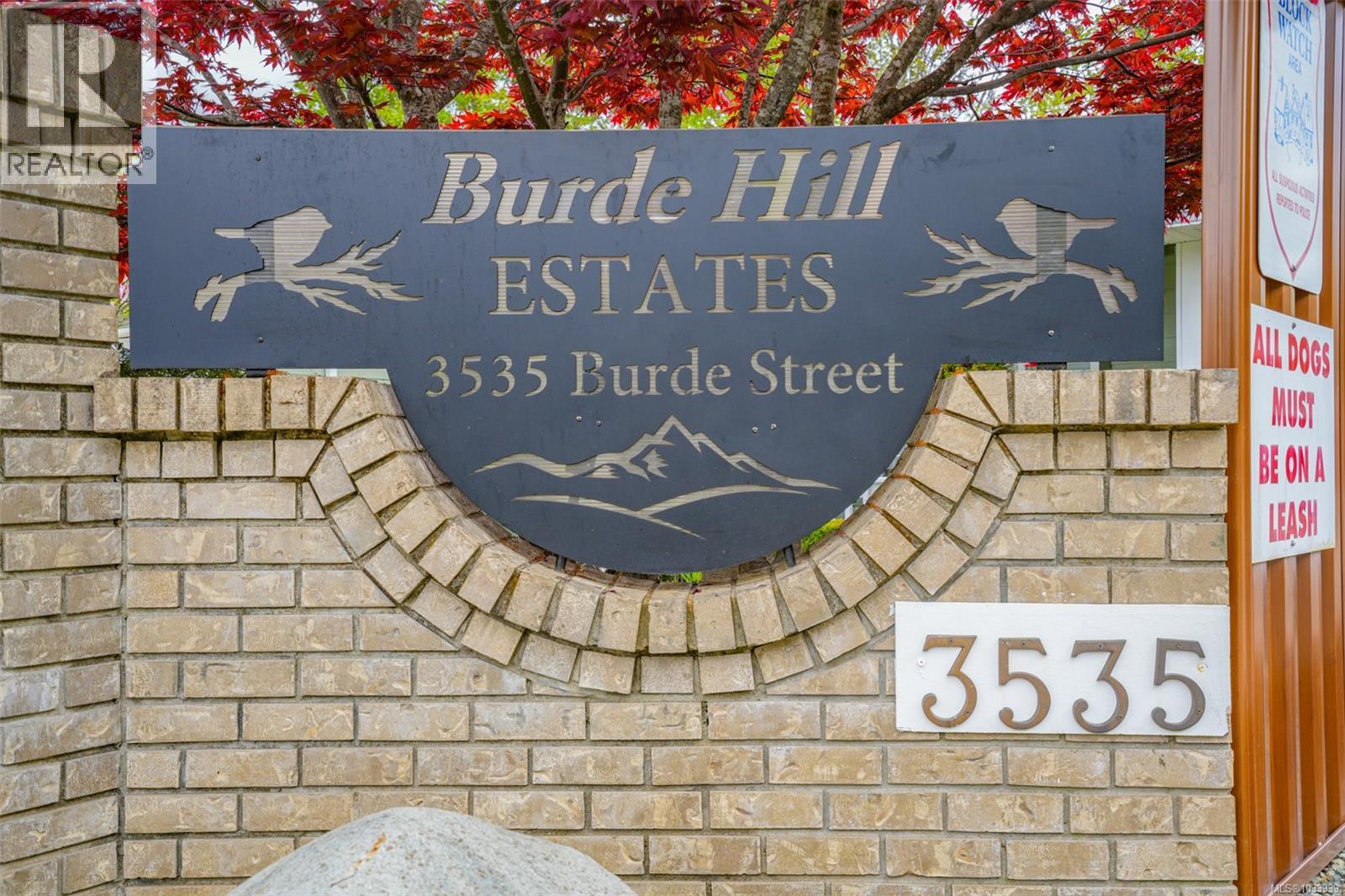 #5 3535 Burde St - 4